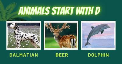 Collage of three animals that start with the letter D: Dalmatian, Deer, and Dolphin