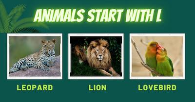 A captivating image featuring three animals whose names start with the letter "L": a leopard, a lion, and a lovebird.