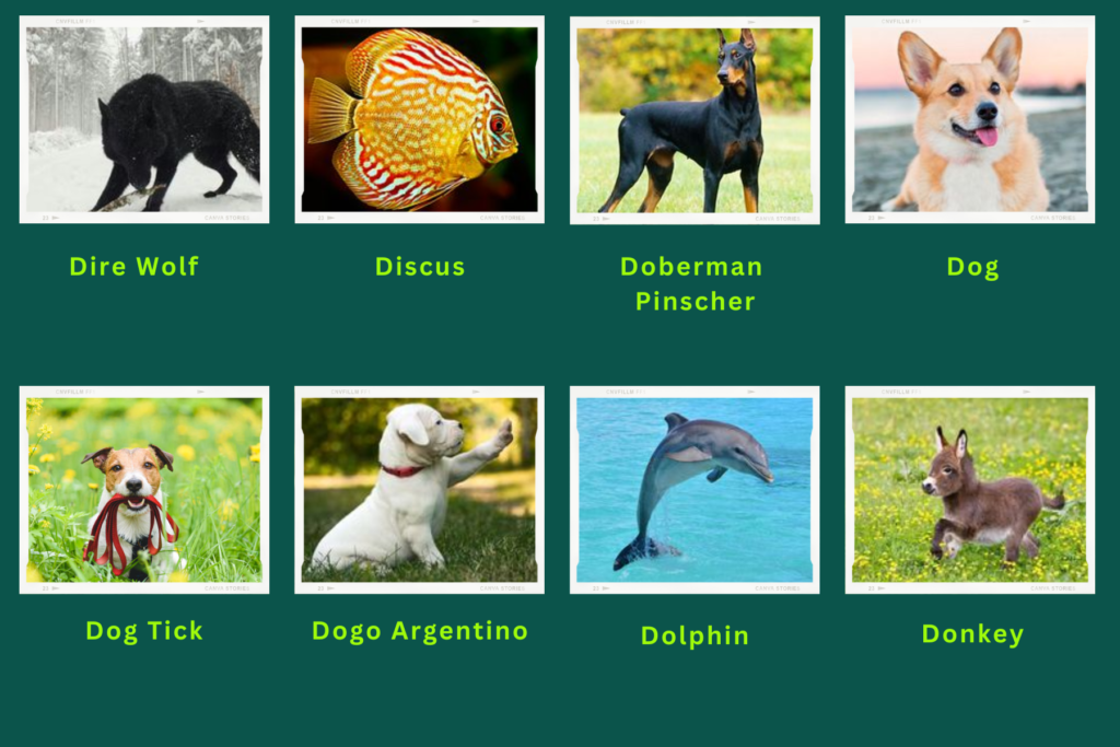 Collage of eight animals that start with the letter D. Images include an Discus, Doberman Pinscher, Donkey and more